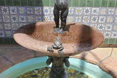BOY AND FROG