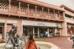 THE PLAZA shops