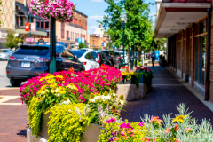 THE PLAZA in the spring is beautiful.