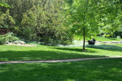 20150503_nelson03