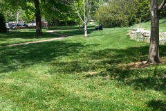 20150503_nelson06