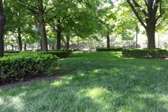 20150503_nelson08
