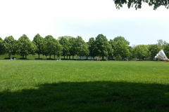 20150503_nelson09