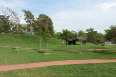 20150503_nelson14