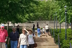 20150503_nelson15