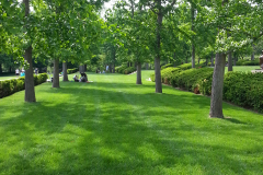 20150503_nelson17