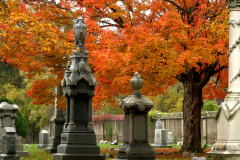 Elmwood Cemetery