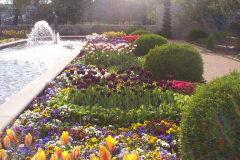 KAUFFMAN GARDEN