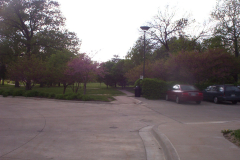 KAUFFMAN GARDEN path into Theis Park
