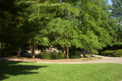 loosepark03