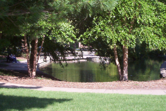 loosepark04