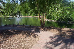 loosepark17