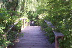 loosepark18
