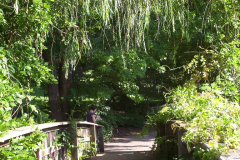 loosepark20