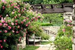 loosepark27