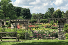 Smith Municipal Rose Garden