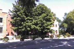 20081213_nauvoo13