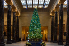 THE PROVISO: Kirkwood Hall at Christmas, Fen’s exploratory senatorial fundraiser, where Giselle and Sebastian wander around annoying Fen.