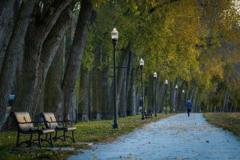 20081230_parkville03