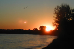 20081230_parkville08