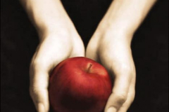 20080918_twilight
