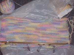 beginning of XX's coverlet