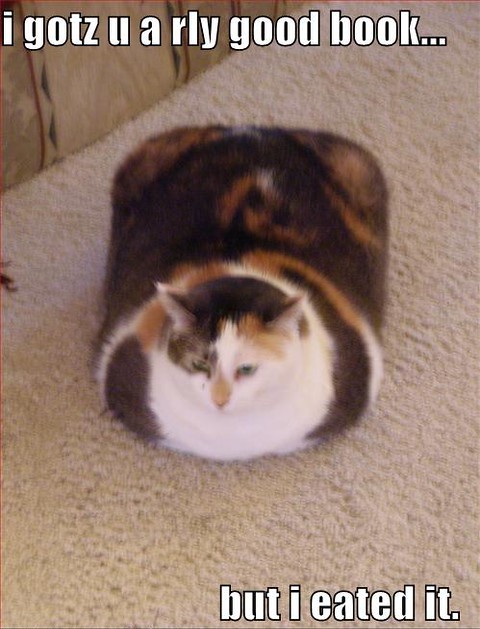 A meme of a calico cat relaxing. Text: “i gotz u a rly good book … but i eated it.”