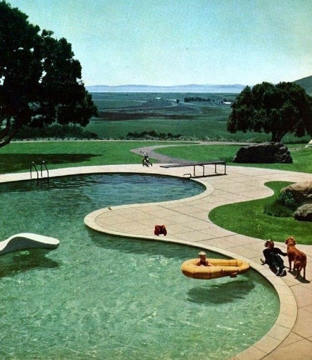 A kidney-shaped midcentury modern swimming pool