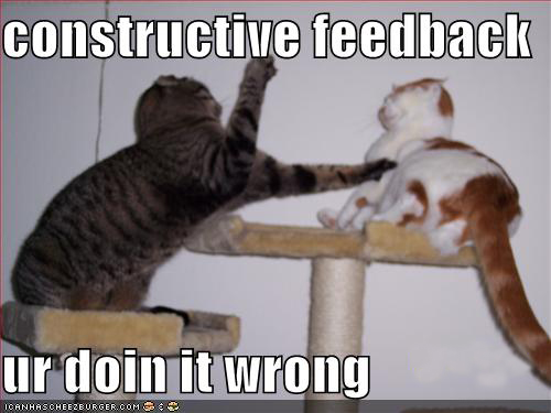 Two cats fighting with the caption: “constructive feedback, ur doin it wrong”