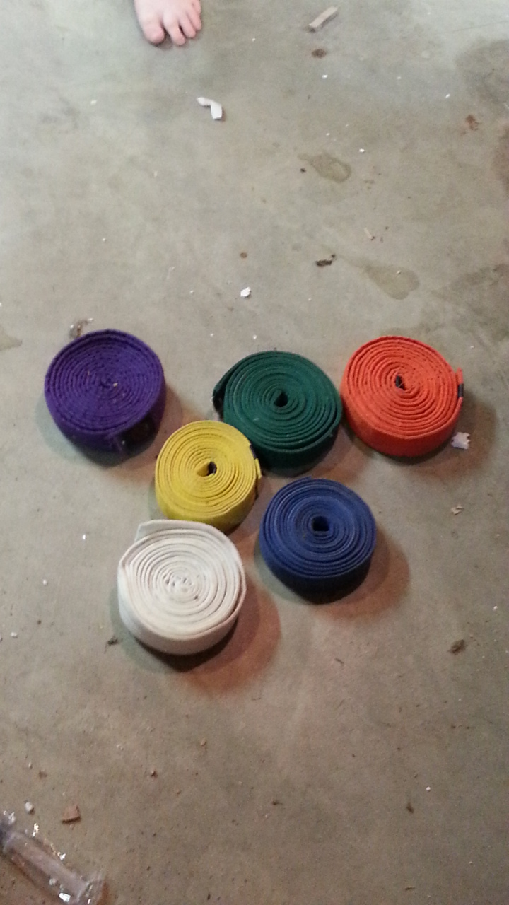 An image of karate belts tidily rolled up: white, yellow, orange, purple, blue, and green.