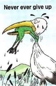 A motivational poster showing a bird with a frog halfway into its mouth, but the frog is reaching out and choking the bird, making it impossible for the bird to swallow it. The caption reads NEVER EVER GIVE UP.