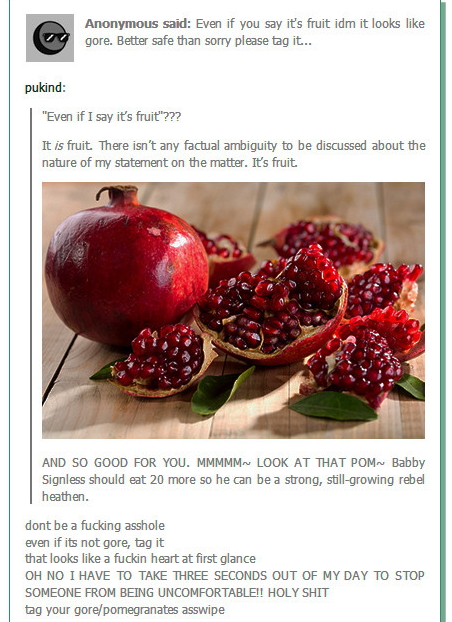 Image of a broken-open red pomegranate with seeds everywhere. ANONYMOUS SAID: “Even if you say it’s fruit idm it looks like gore. Better safe than sorry please tag it…” ¶ PUKIND: “‘Even if I say it’s fruit’? ¶ It IS fruit. There isn’t any factual ambiguity to be discussed about the nature of my statement on the matter. It’s fruit. ¶ AND SO GOOD FOR YOU MMMMM~ LOOK AT THAT POM~ Babby Signless should eat 20 more so he can be a strong, still-growing rebel heathen.” ANONYMOUS: “dont be a fucking asshole ¶ even if its not gore, tag it ¶ that looks like a fuckin heart at first glance ¶ OH NO I HAVE TO TAKE THREE SECONDS OUT OF MY DAY TO STOP SOMEONE FROM BEING UNCOMFORTABLE!! HOLY SHIT ¶ tag your gore/pomegranates asswipe”