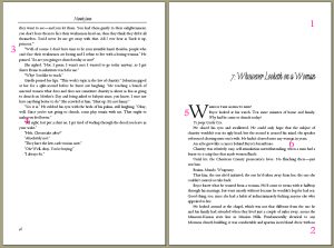 typesetting The Proviso 1st Edition in MS Word